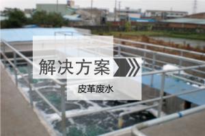 Ƥ��Uˮ���̎�����g